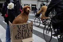 #foto #video Na protivladni protest prišlo več kot 3000 kolesarjev