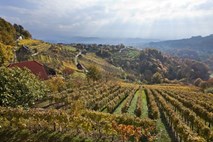 Boni rešujejo turistično sezono v zidanicah na Dolenjskem