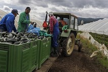 Sloveniji iz Bruslja opomin glede direktive o nepoštenih trgovinskih praksah