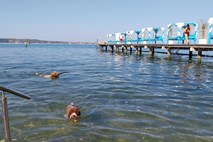 Psi dobili najlepši del portoroške plaže