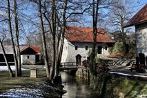 Znani nominiranci za Rožančevo nagrado